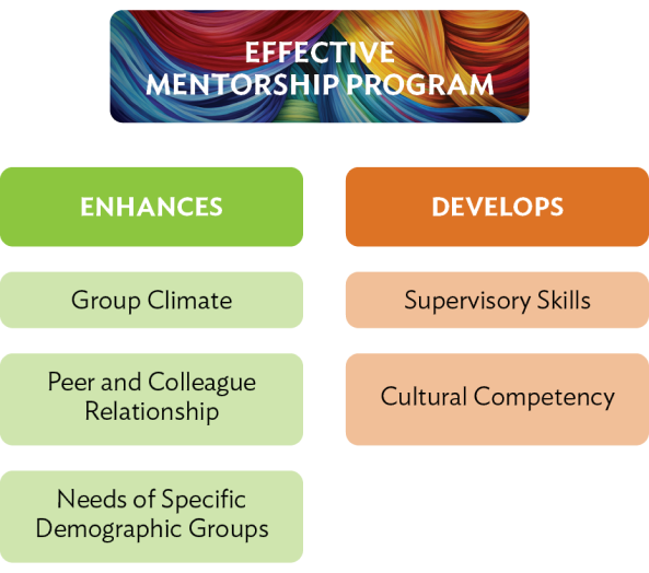 Results of an Effective Mentorship Program